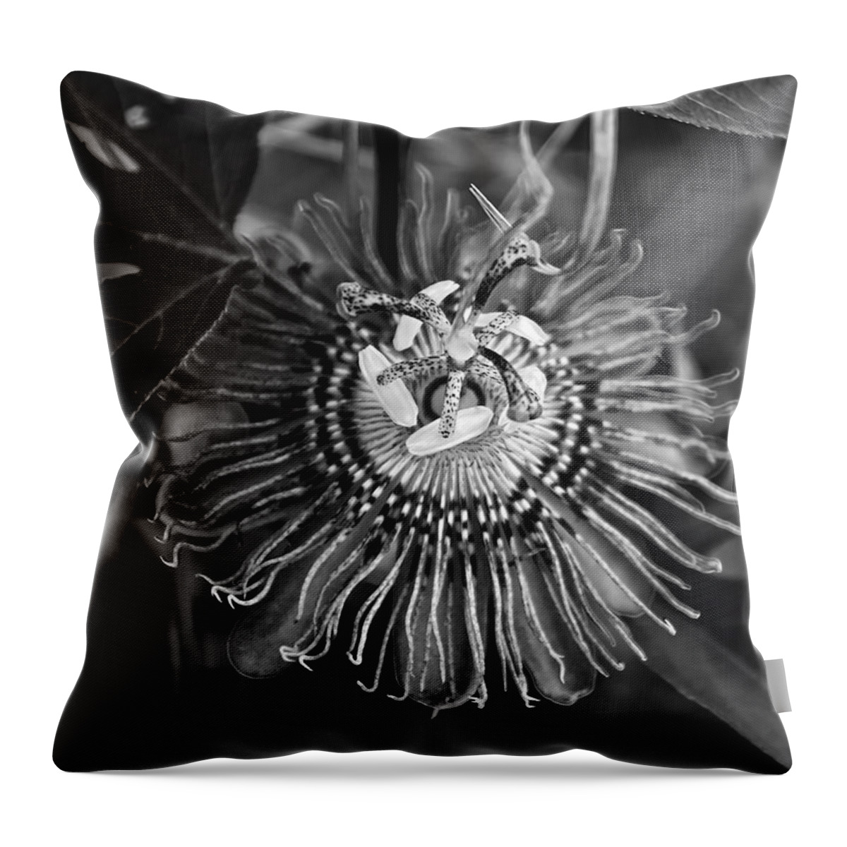 Passiflora Incarnata Throw Pillow featuring the photograph Purple Passionflower BW by Flees Photos