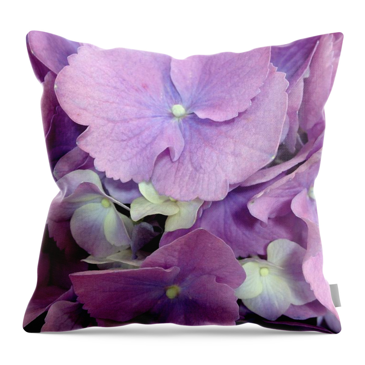 Purple Throw Pillow featuring the photograph Purple Petals by Marian Lonzetta