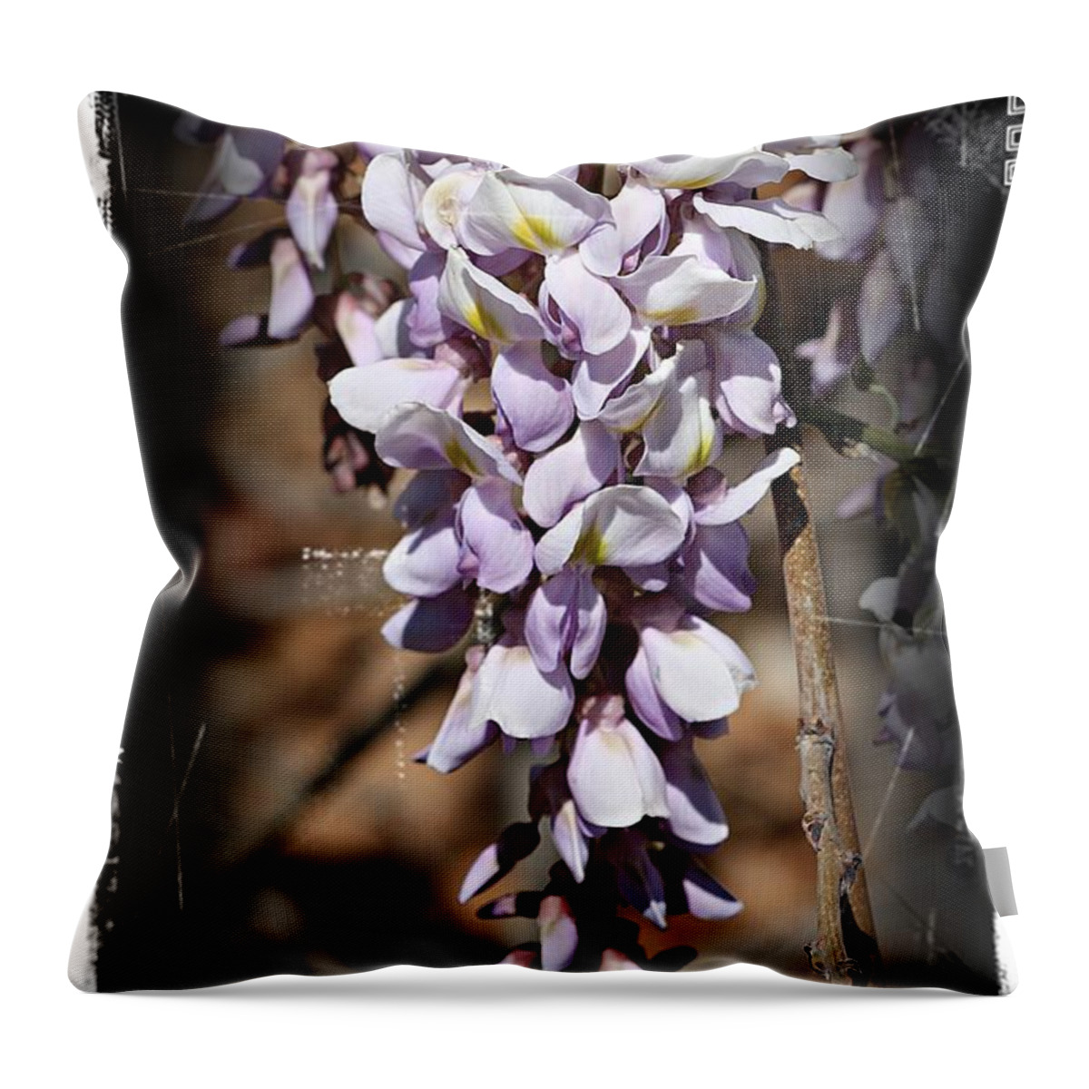 Wisteria Throw Pillow featuring the photograph Purple Rain- Wisteria- Fine Art by KayeCee Spain