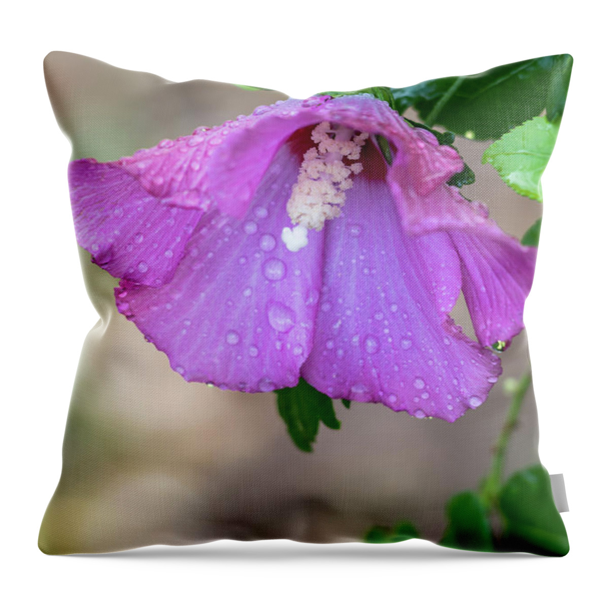 Terry D Photography Throw Pillow featuring the photograph Purple Rose Of Sharon Raindrops by Terry DeLuco