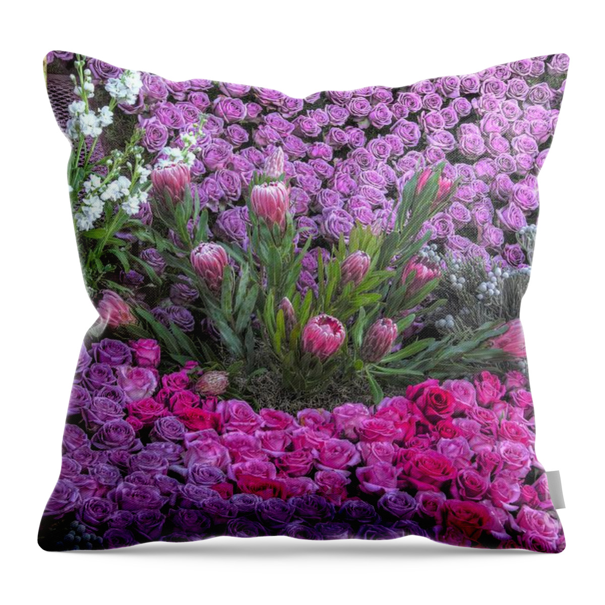 Purple Roses Throw Pillow featuring the photograph Purple Roses, Pinks and White by Mathias 