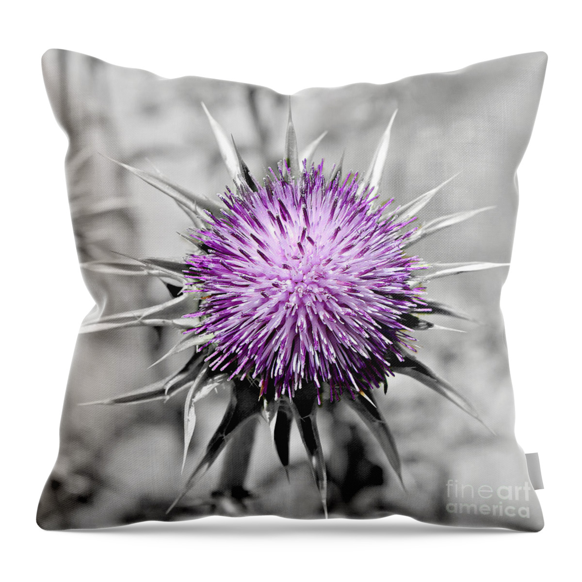 500 Views Throw Pillow featuring the photograph Purple Scrub by Jenny Revitz Soper