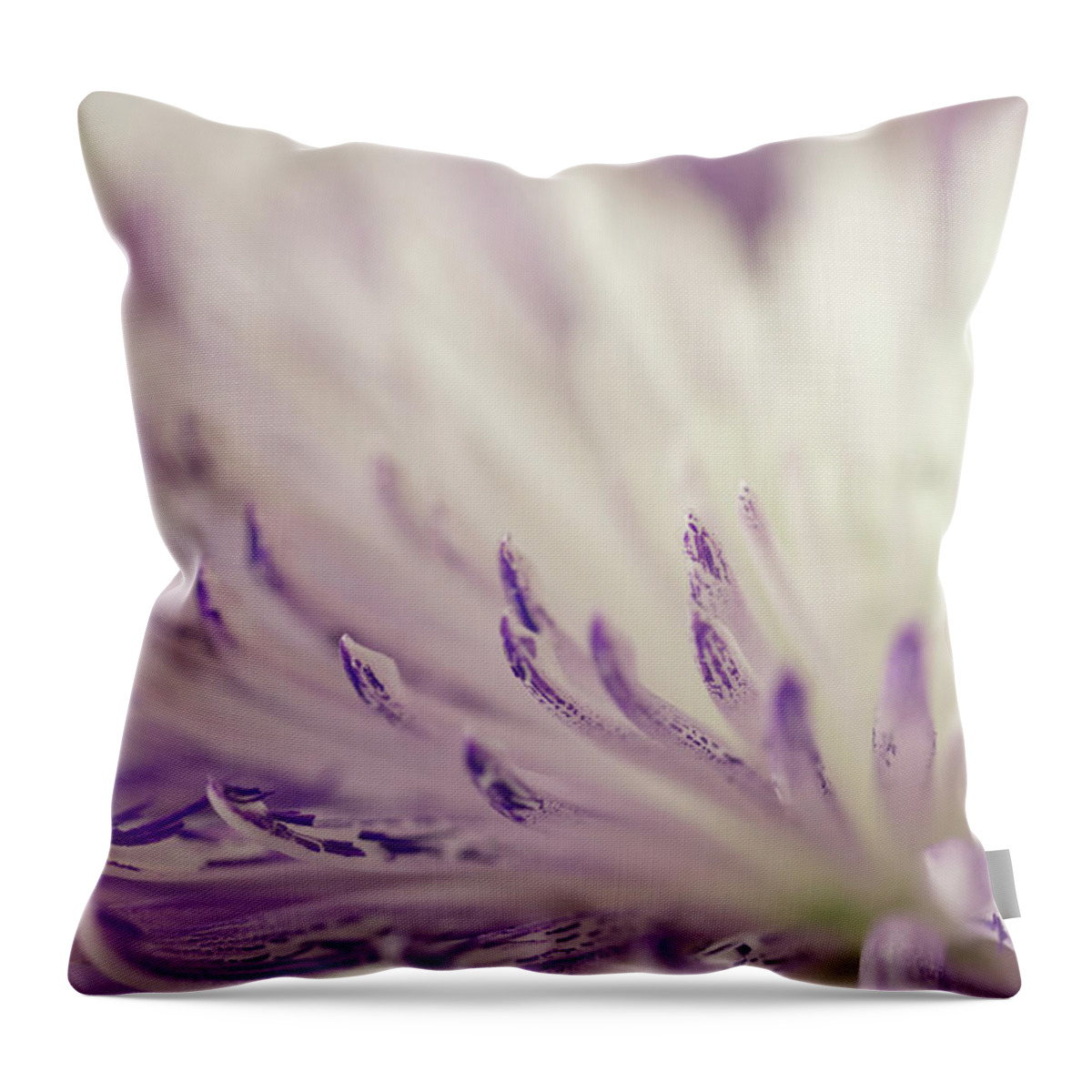 Mums Throw Pillow featuring the photograph Purple Spider Mum Macro by Sandra Foster