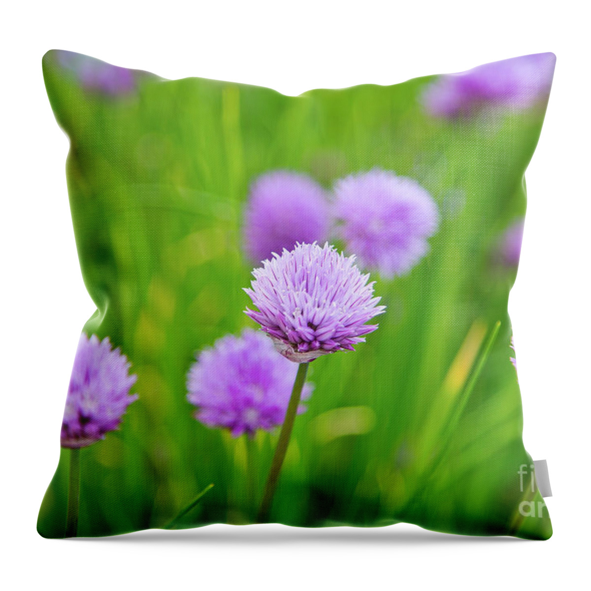 Flora Throw Pillow featuring the photograph Purple Spring 14 by Alex Art