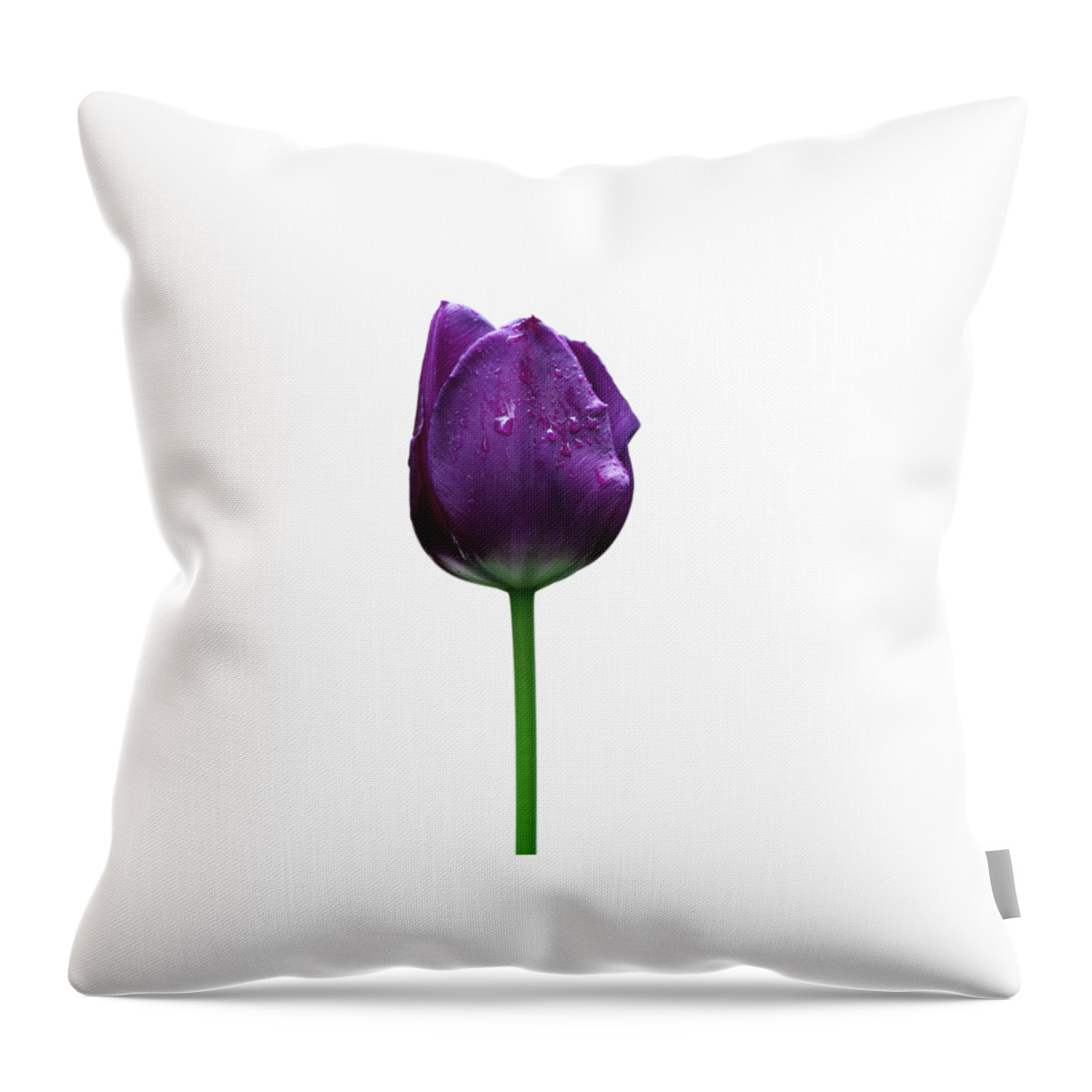 Beautiful Throw Pillow featuring the photograph Purple tulip T by Ivan Slosar