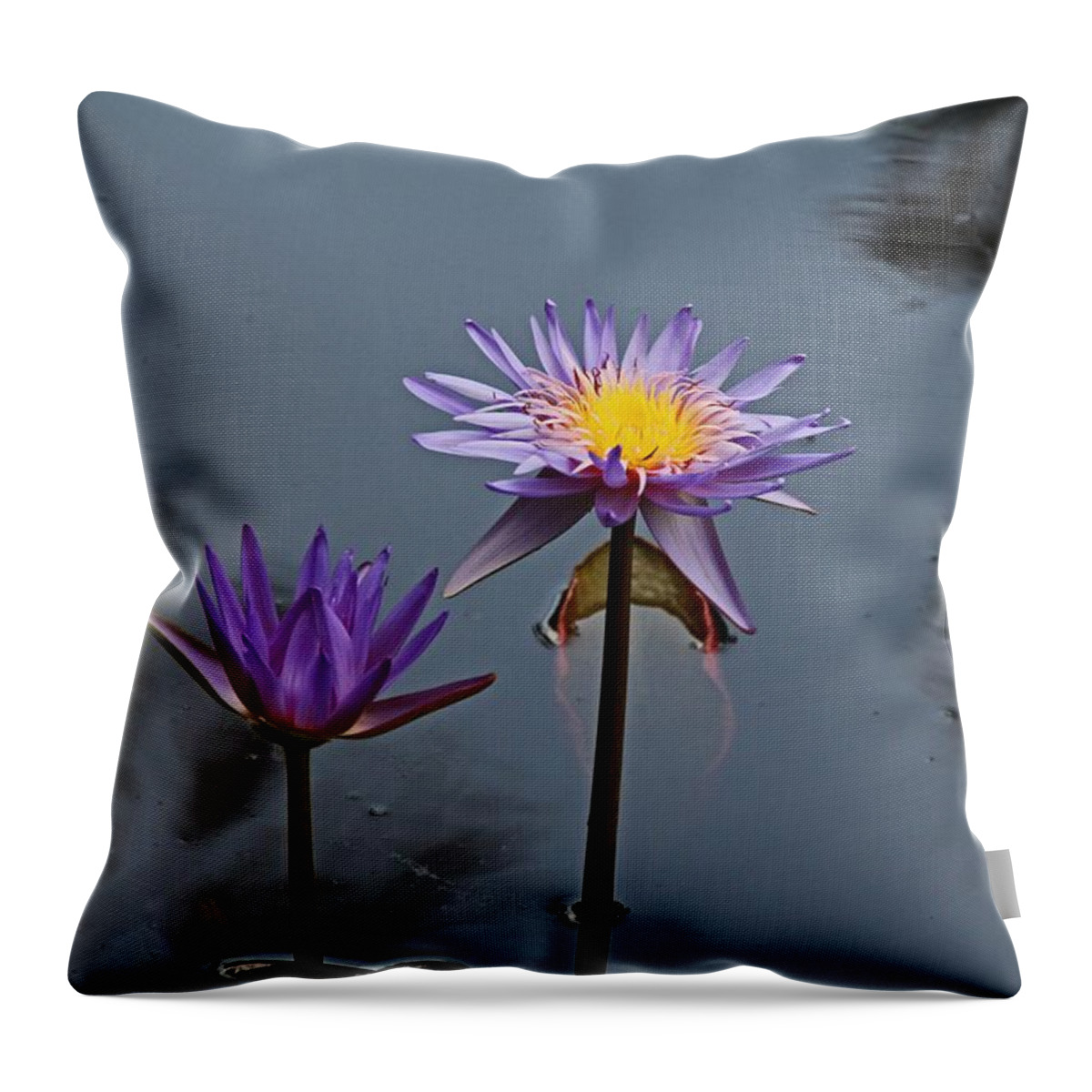 Purple Throw Pillow featuring the photograph Purple Two-step by Michiale Schneider