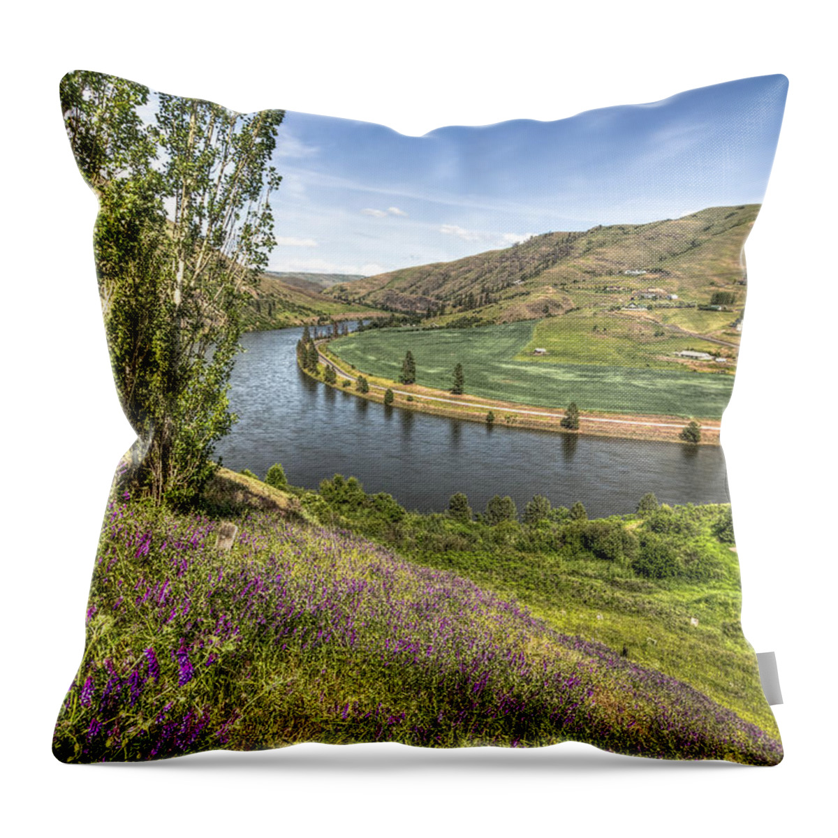 Purple Throw Pillow featuring the photograph Purple Wildflowers on the Hillside by Brad Stinson