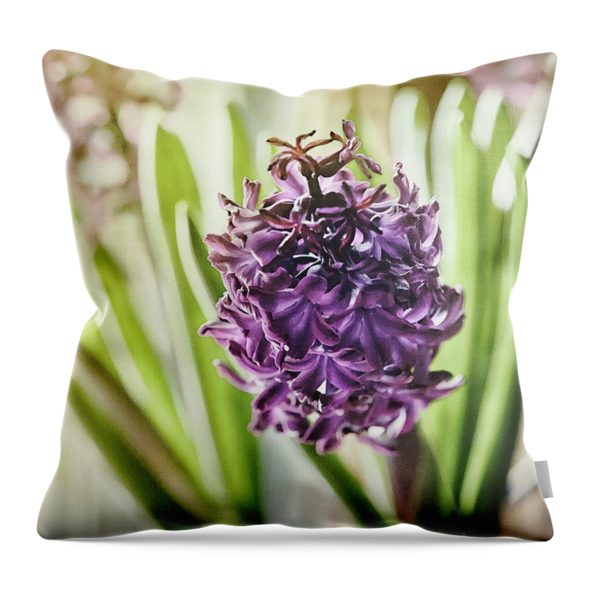 Hyacinth Throw Pillow featuring the digital art Purple Hyacinth In Window Light by Sue Capuano