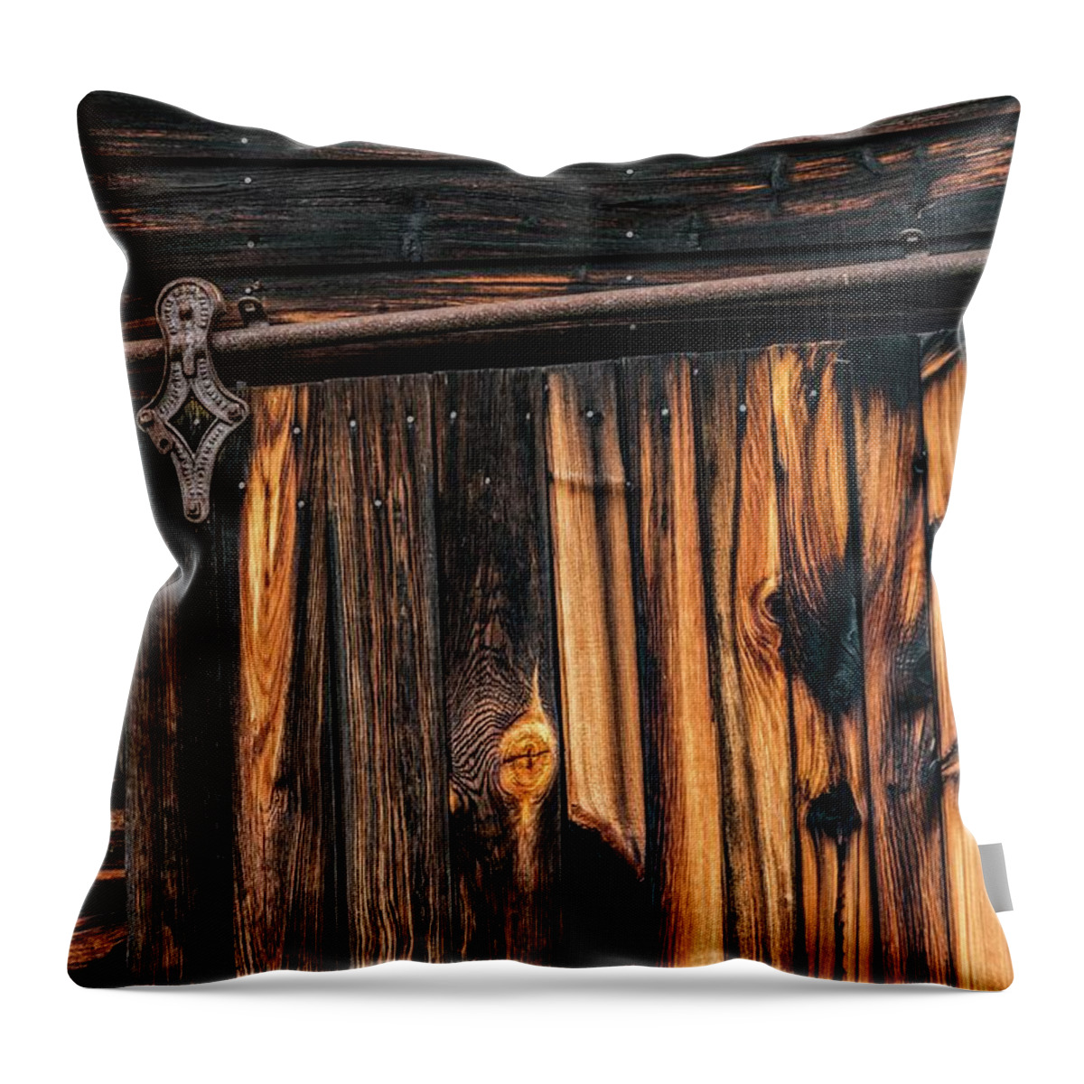  Throw Pillow featuring the photograph Purposely made by Pamela Taylor