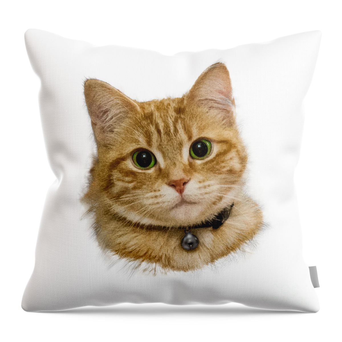 Cat Throw Pillow featuring the digital art Pussy by Roger Lighterness