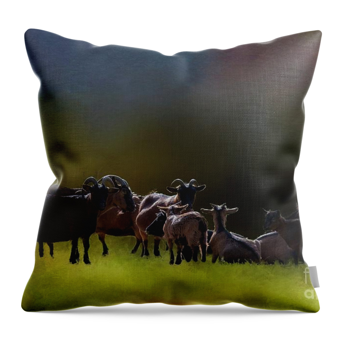 Pygmy Goats Throw Pillow featuring the painting Pygmy Goats by Eva Lechner