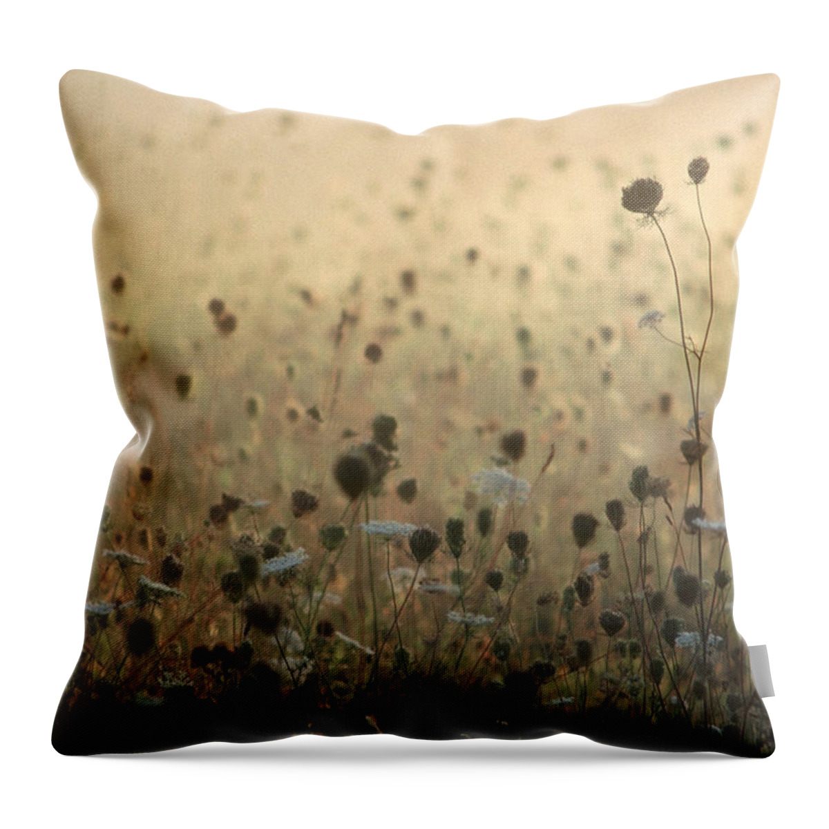 Queen Anne's Lace Throw Pillow featuring the photograph Queen Anne's Court by DArcy Evans