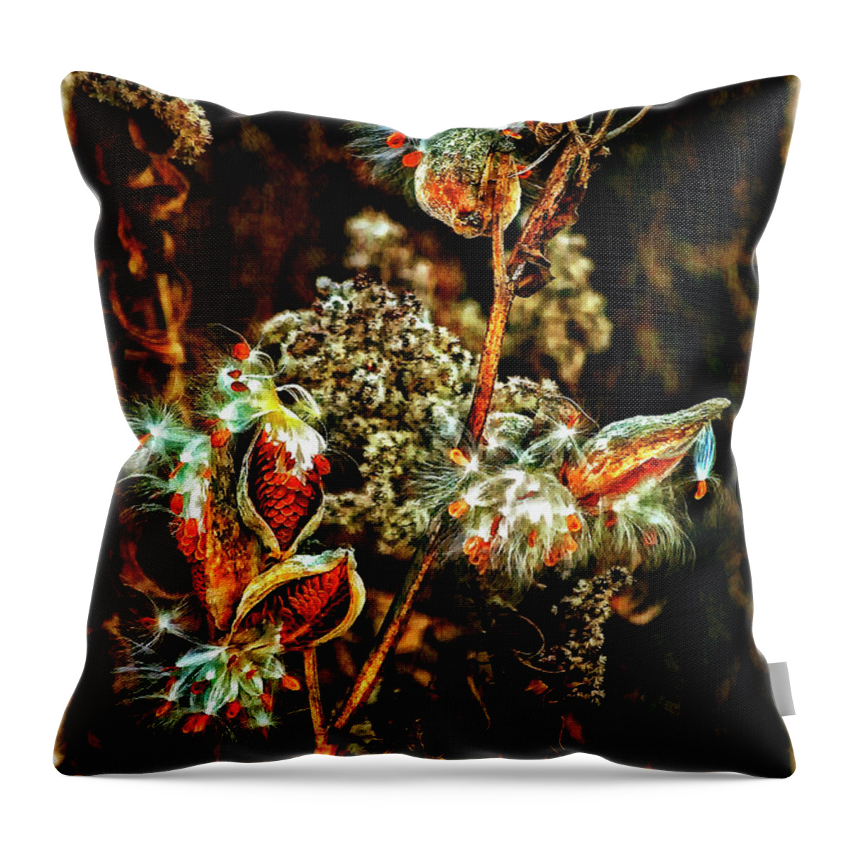 Milkweed Throw Pillow featuring the photograph Queen of the Ditches II by Steve Harrington