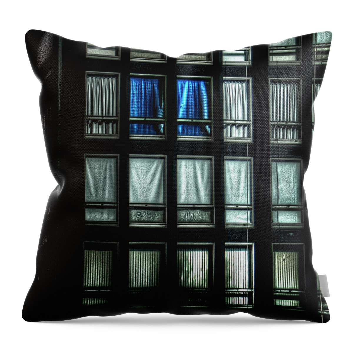 Illinois Throw Pillow featuring the photograph Quick Call the Condo Association by Roger Passman