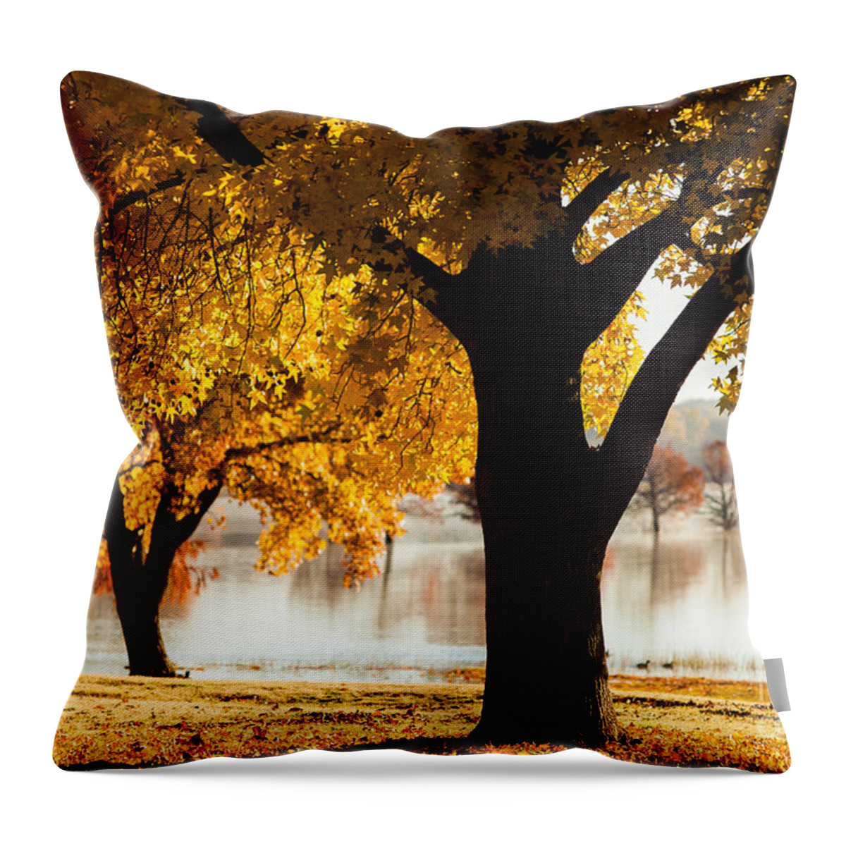 Nature Throw Pillow featuring the photograph Quiet Cold Morning in the Lake by Iris Greenwell