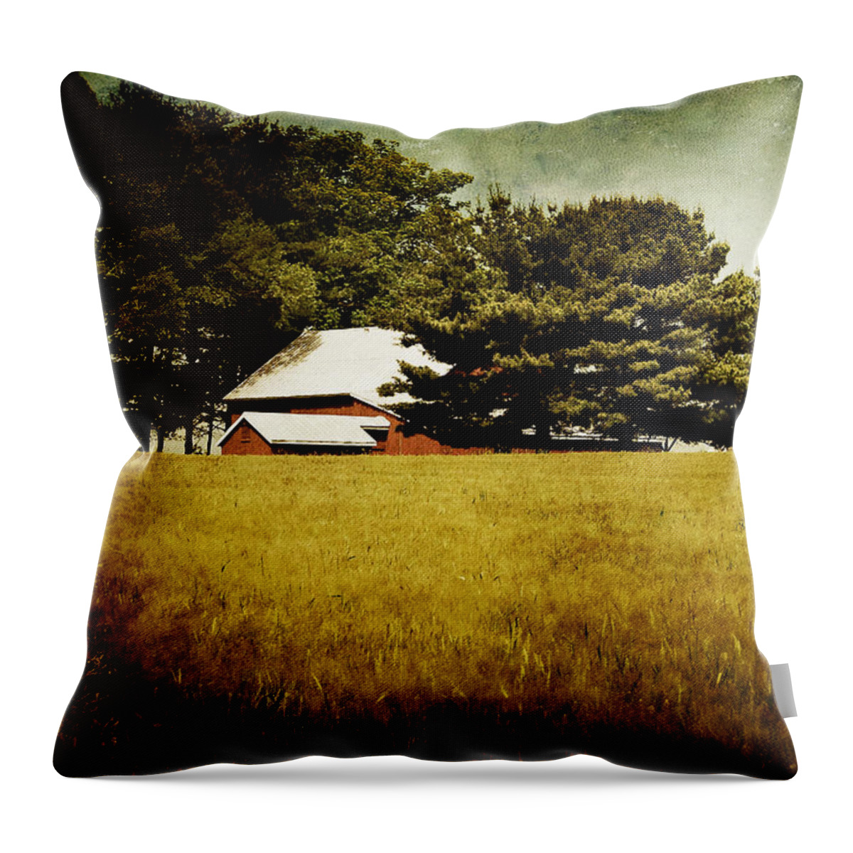 Barn Throw Pillow featuring the photograph Quiet by Lois Bryan