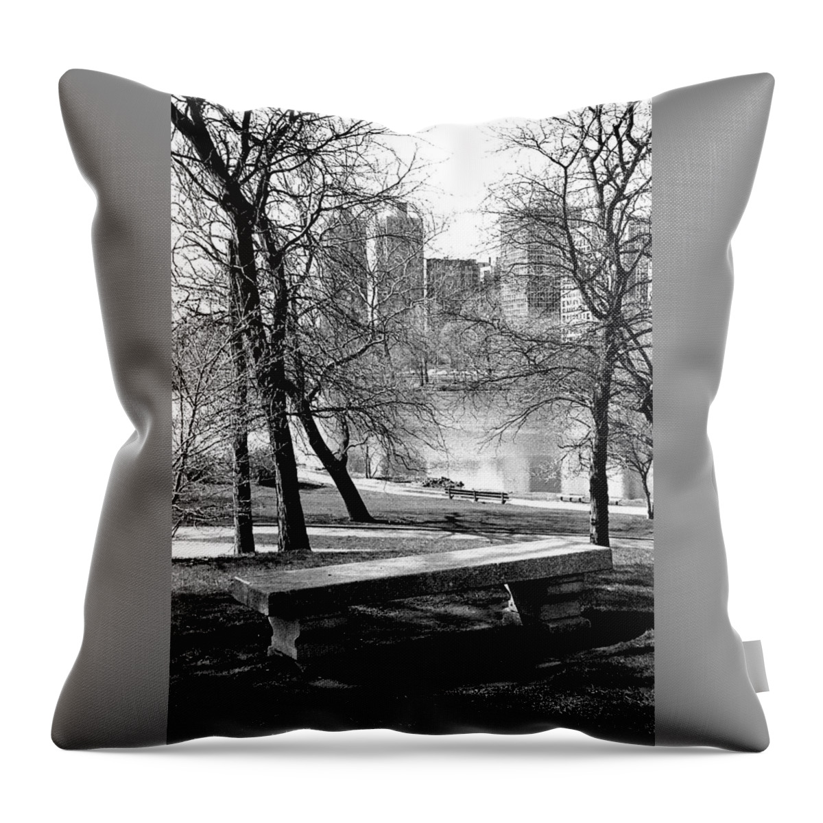 Landscape Throw Pillow featuring the photograph Quiet Thoughts by Carol Neal-Chicago