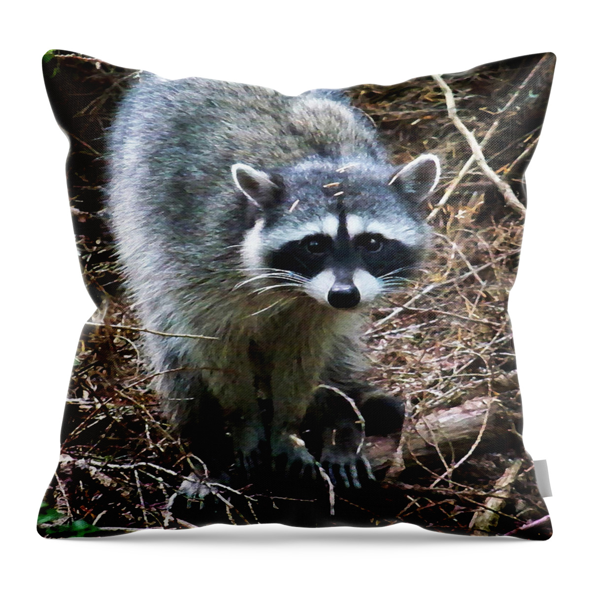 Painting Throw Pillow featuring the photograph Raccoon by Anthony Jones
