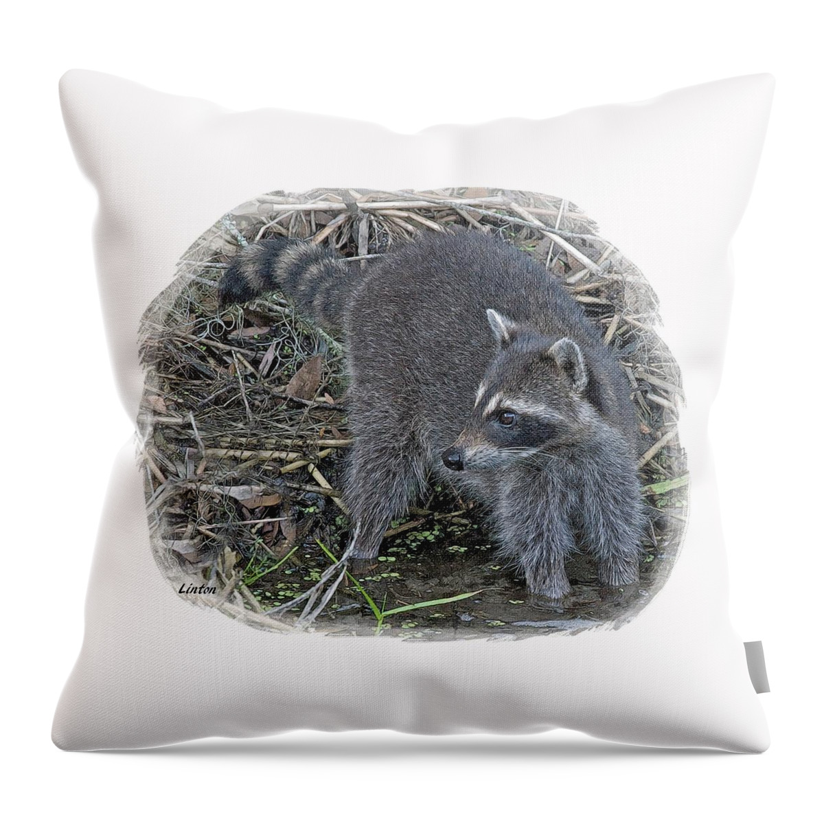 Raccoon Throw Pillow featuring the digital art Raccoon by Larry Linton