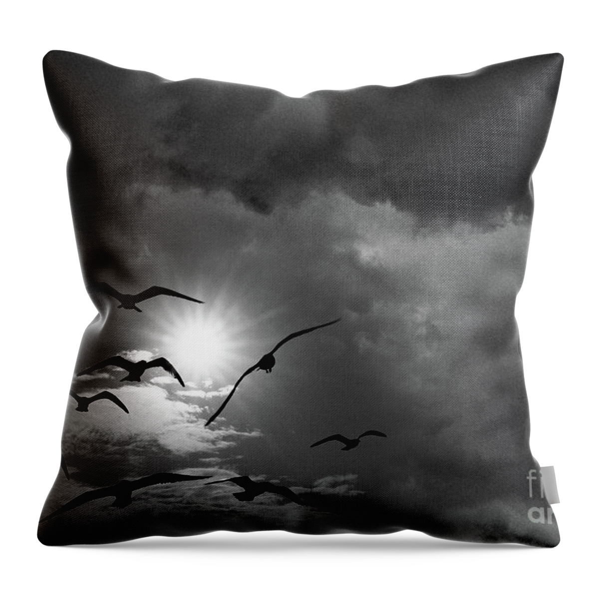 Scenic Tours Throw Pillow featuring the photograph Racing The Wind by Skip Willits