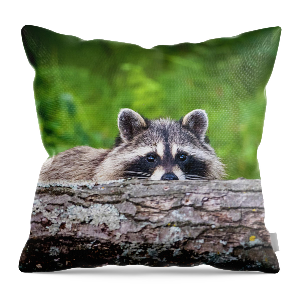 Racoon Throw Pillow featuring the photograph Racoon Hiding by Paul Freidlund