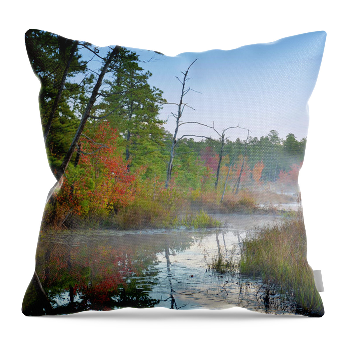 Autumn Throw Pillow featuring the photograph Radiant Morning by Jim Cook