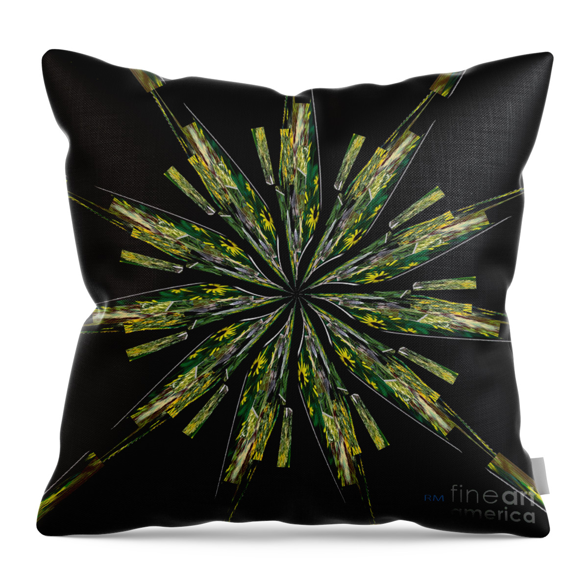Art Throw Pillow featuring the photograph Radiant by Richard Montemurro