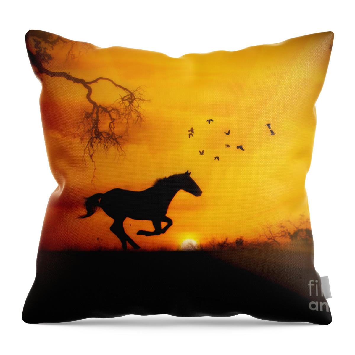 Horse Throw Pillow featuring the photograph Radiant Run Horse and Sunrise by Stephanie Laird