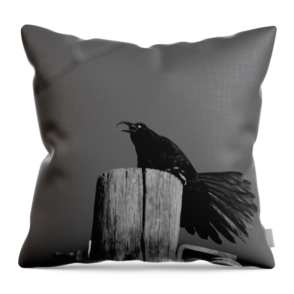 Black And White Photograph Throw Pillow featuring the photograph Raging Crow by Colleen Cornelius