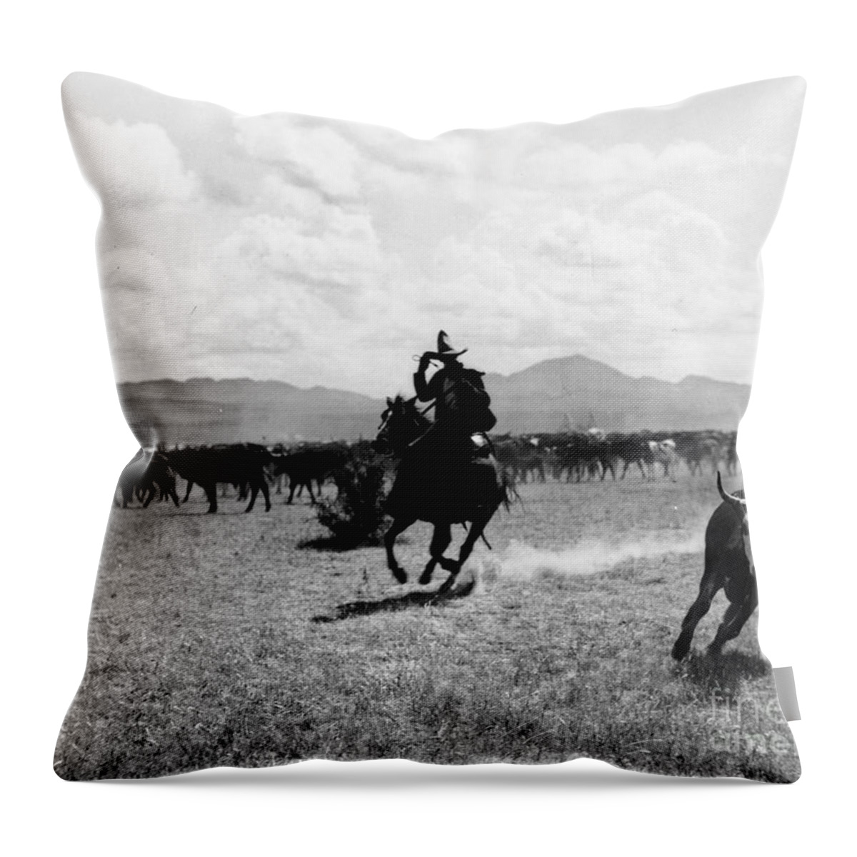 Raguero Cutting Out A Cow From The Herd Throw Pillow featuring the photograph Raguero cutting out a cow from the herd by Raguero cutting out a cow from the herd