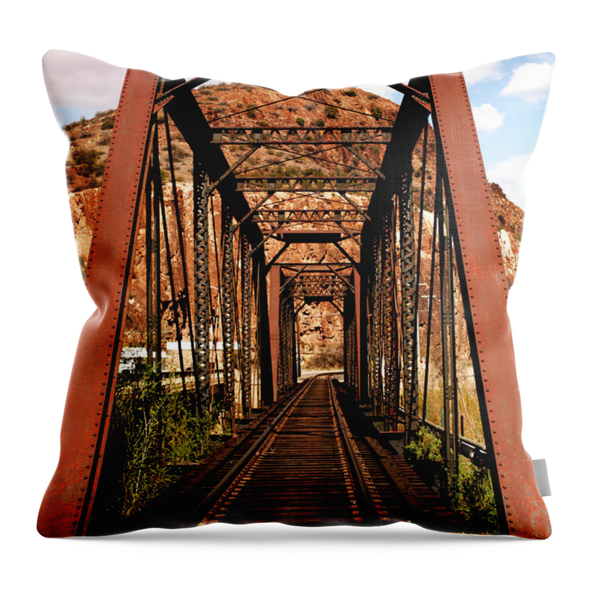 Railroad Throw Pillow featuring the photograph Railroad Bridge by Charles Benavidez
