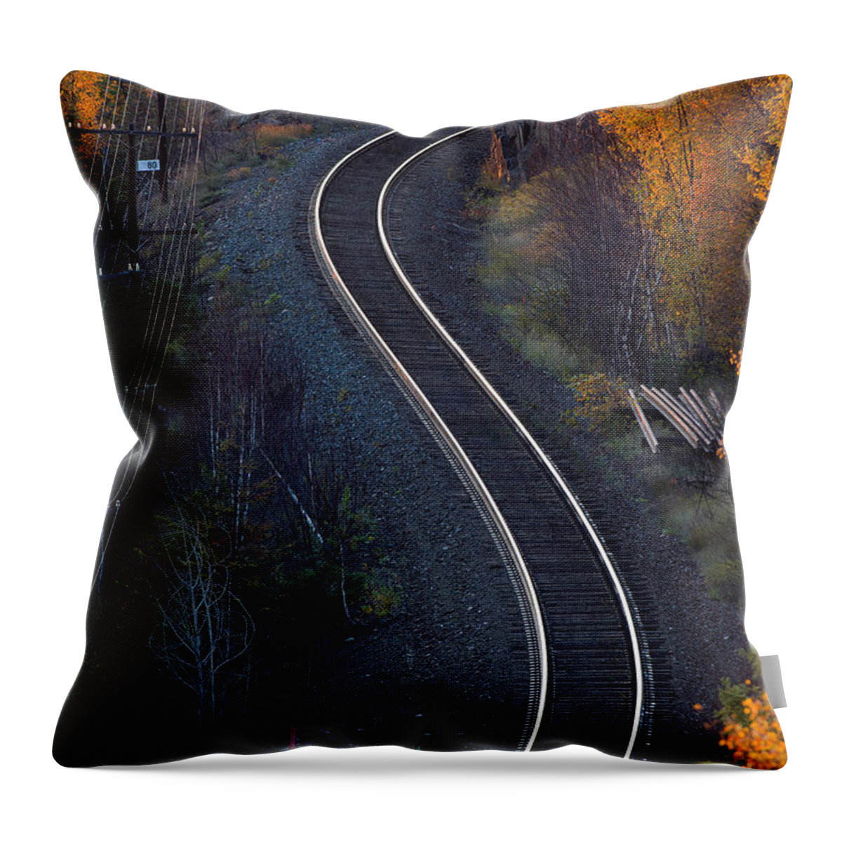 Rails Throw Pillow featuring the photograph Rails by Doug Gibbons
