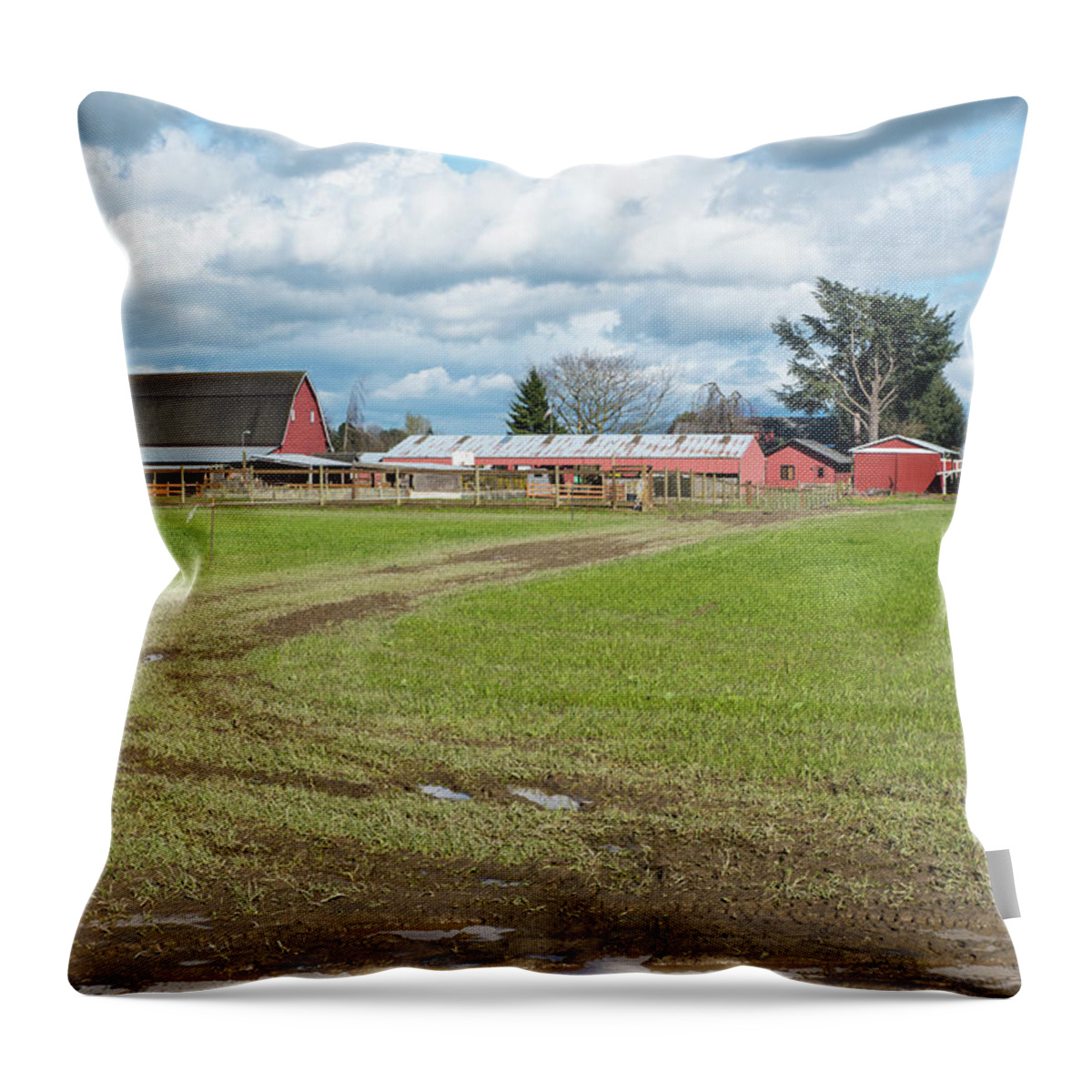 Rain Clouds Red Barns Throw Pillow featuring the photograph Rain Clouds Red Barns by Tom Cochran