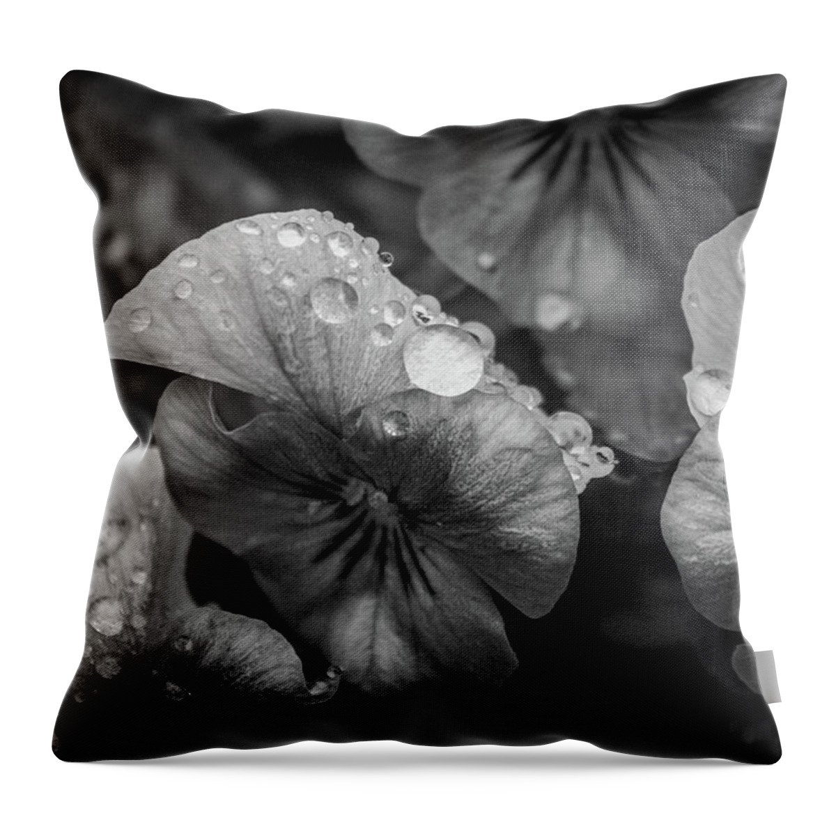 Flower Throw Pillow featuring the photograph Rain drops in the morning by Alex Rossi
