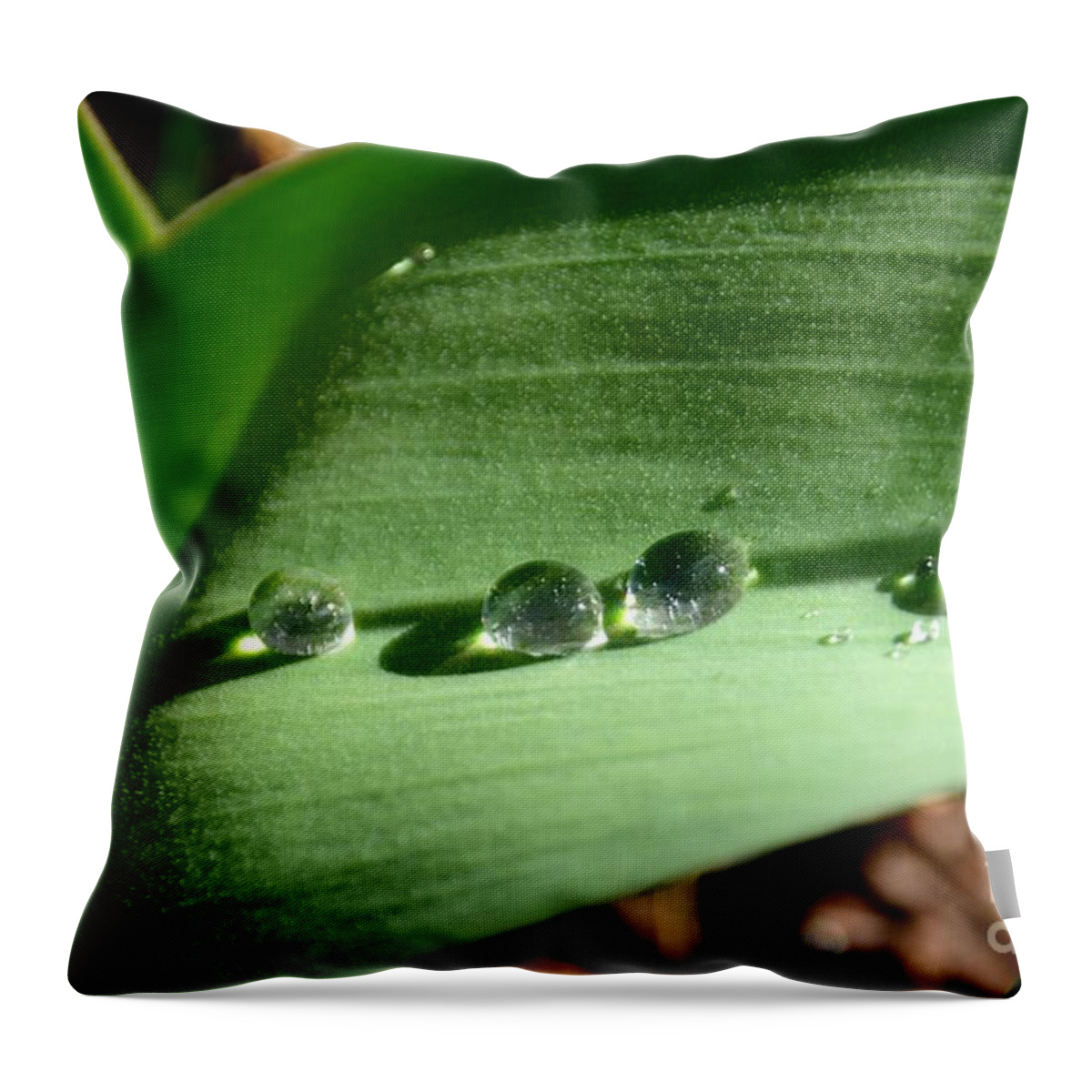Adrian-deleon Throw Pillow featuring the photograph Rain Drops rolling down to the other side. by Adrian De Leon Art and Photography