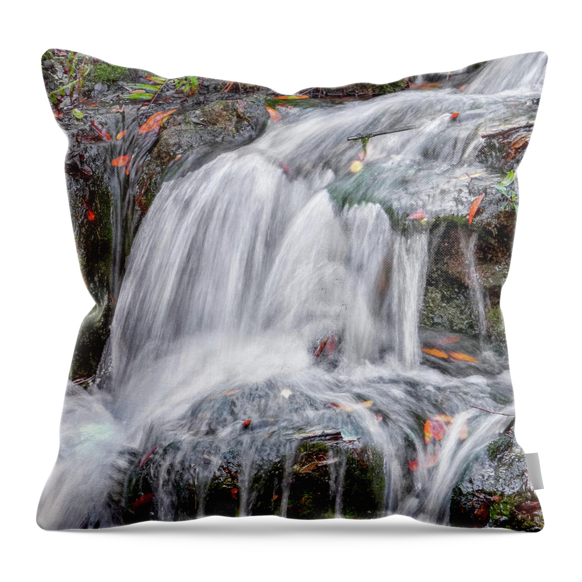 Water Fall Throw Pillow featuring the photograph Rain Out by Dennis Dugan