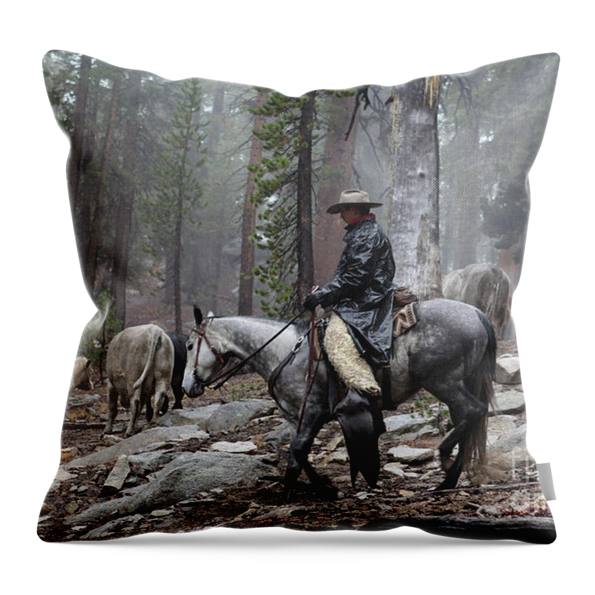 Cowboy Throw Pillow featuring the photograph Rain Riding by Diane Bohna