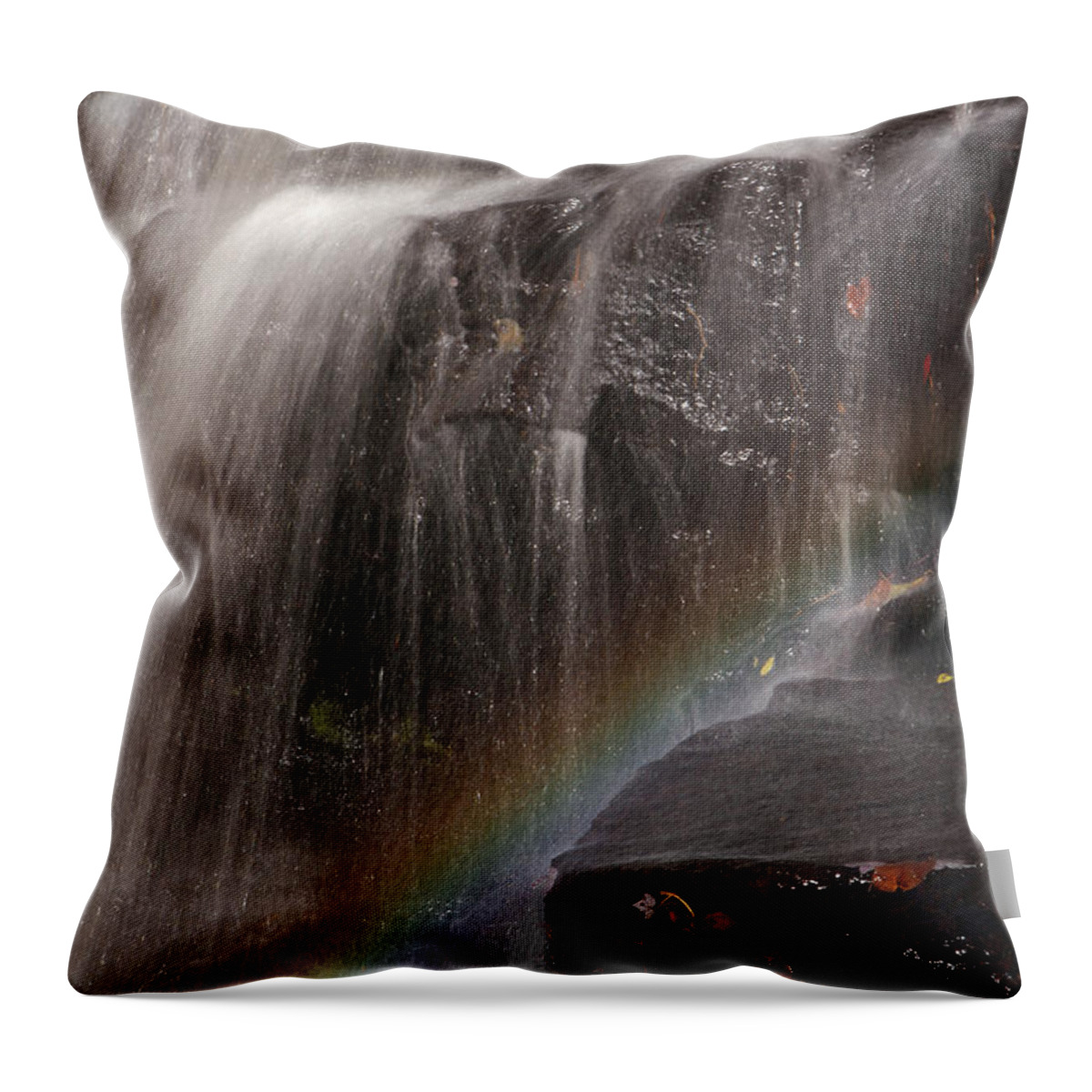 Chapman Falls Throw Pillow featuring the photograph Rainbow and Chapman Falls by Juergen Roth