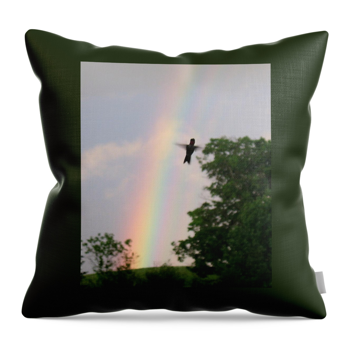 Birds Throw Pillow featuring the photograph Rainbow Bird by Ed Smith