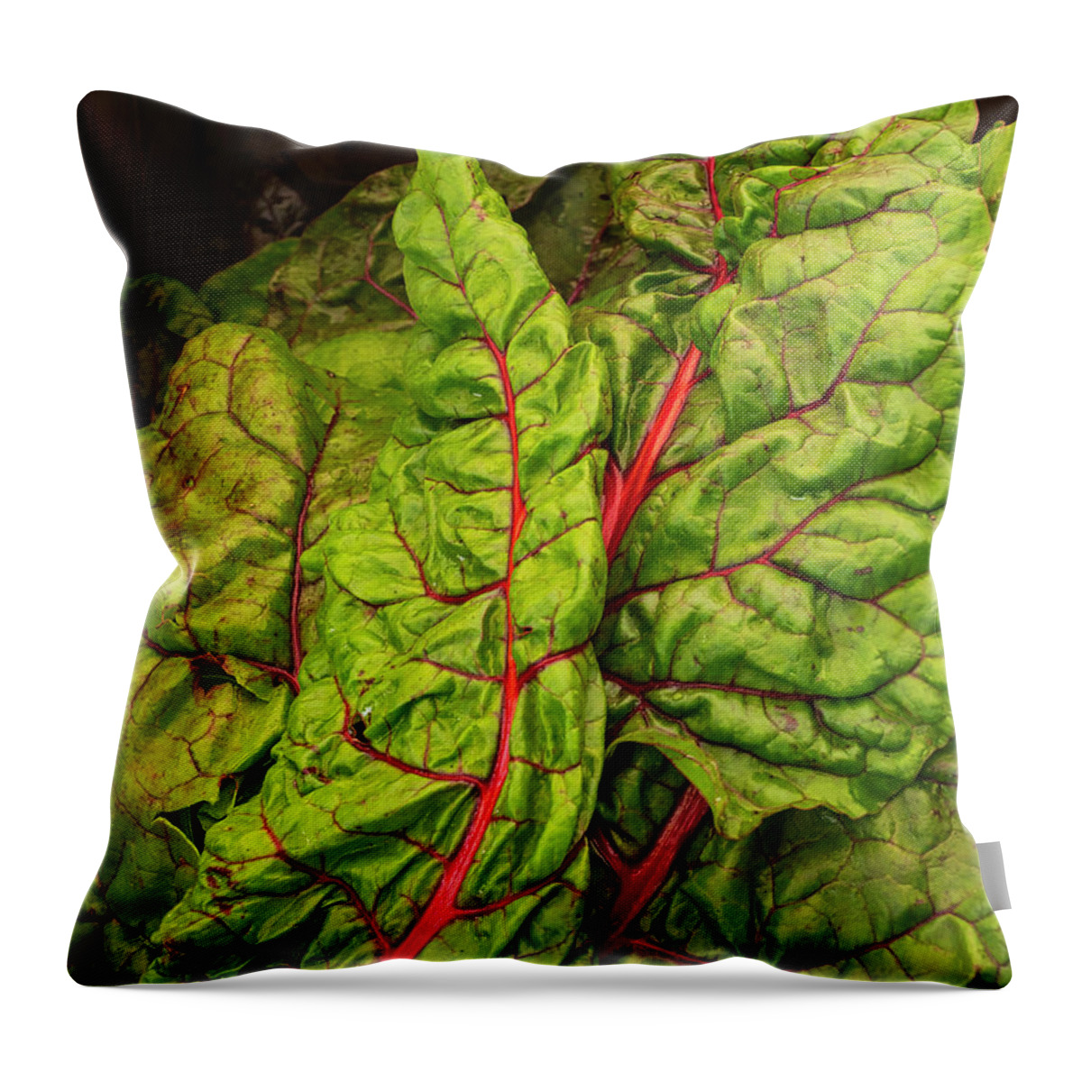 Chard Throw Pillow featuring the photograph Rainbow chard by David Kay