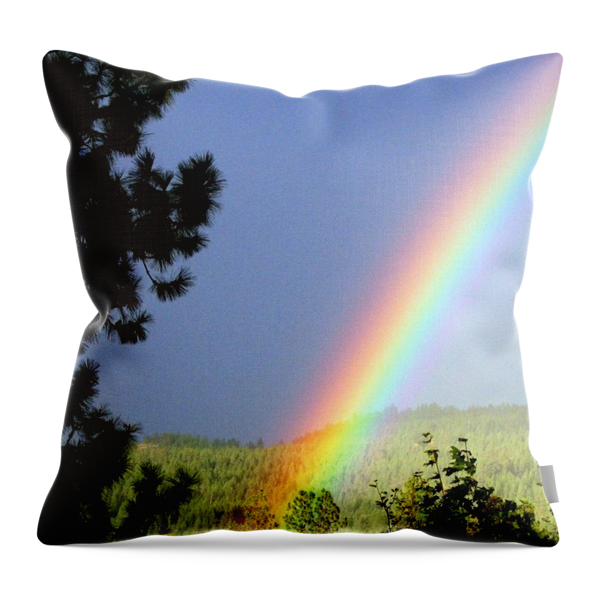 Rainbow Throw Pillow featuring the photograph Rainbow Covenant by Will Borden