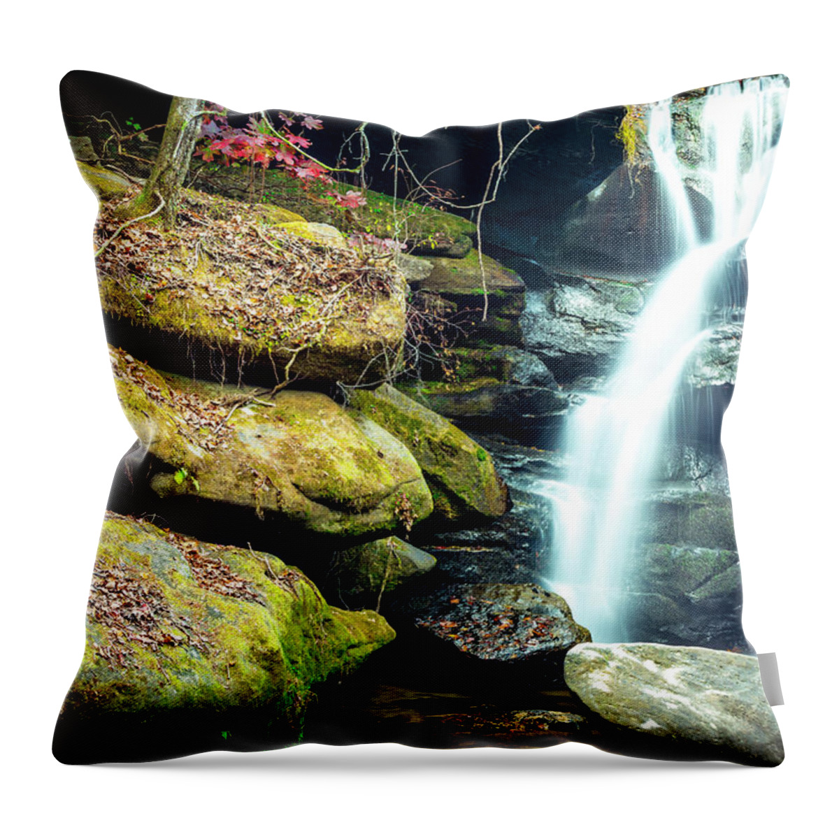 Alabama Throw Pillow featuring the photograph Rainbow Falls at Dismals Canyon by David Morefield