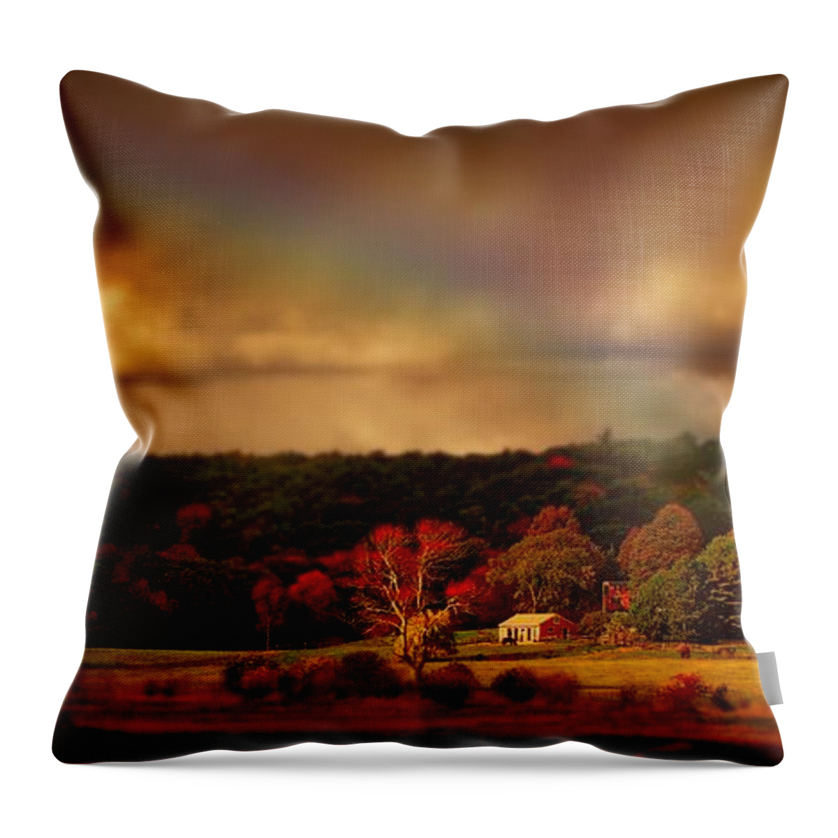 Rainbow Throw Pillow featuring the photograph Rainbow over countryside by Lilia S