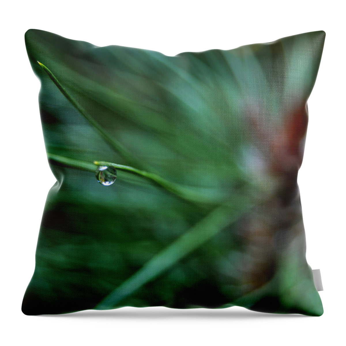 Raindrops Throw Pillow featuring the photograph Raindrop by Pelo Blanco Photo