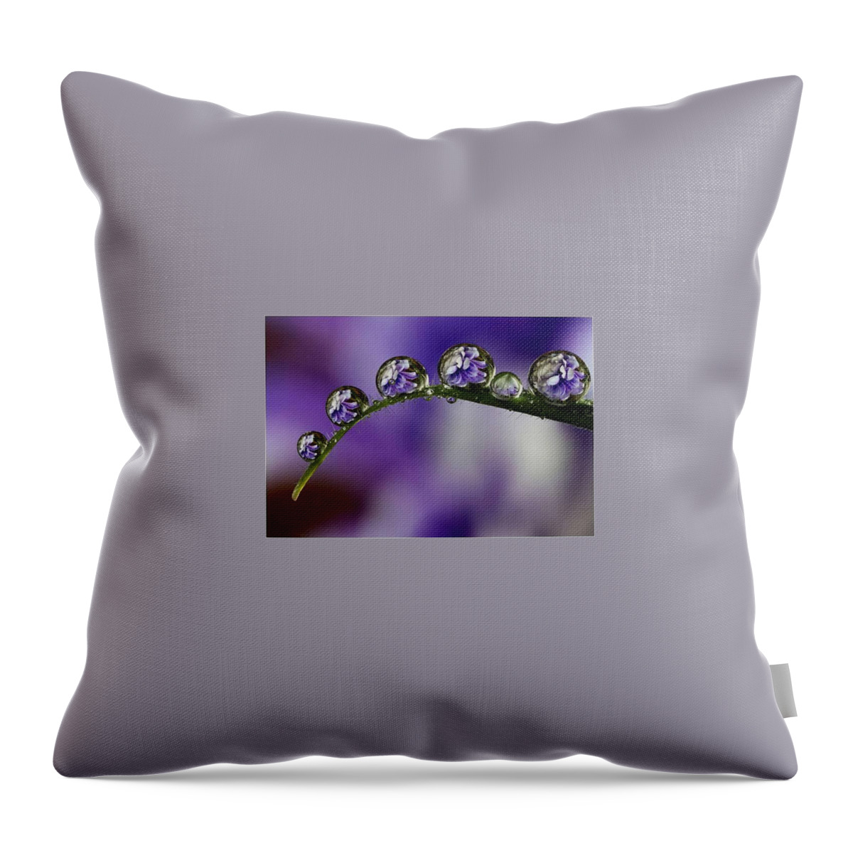 Raindrop Reflections 41 Throw Pillow featuring the photograph Raindrop Reflections 41 by Doug Norkum