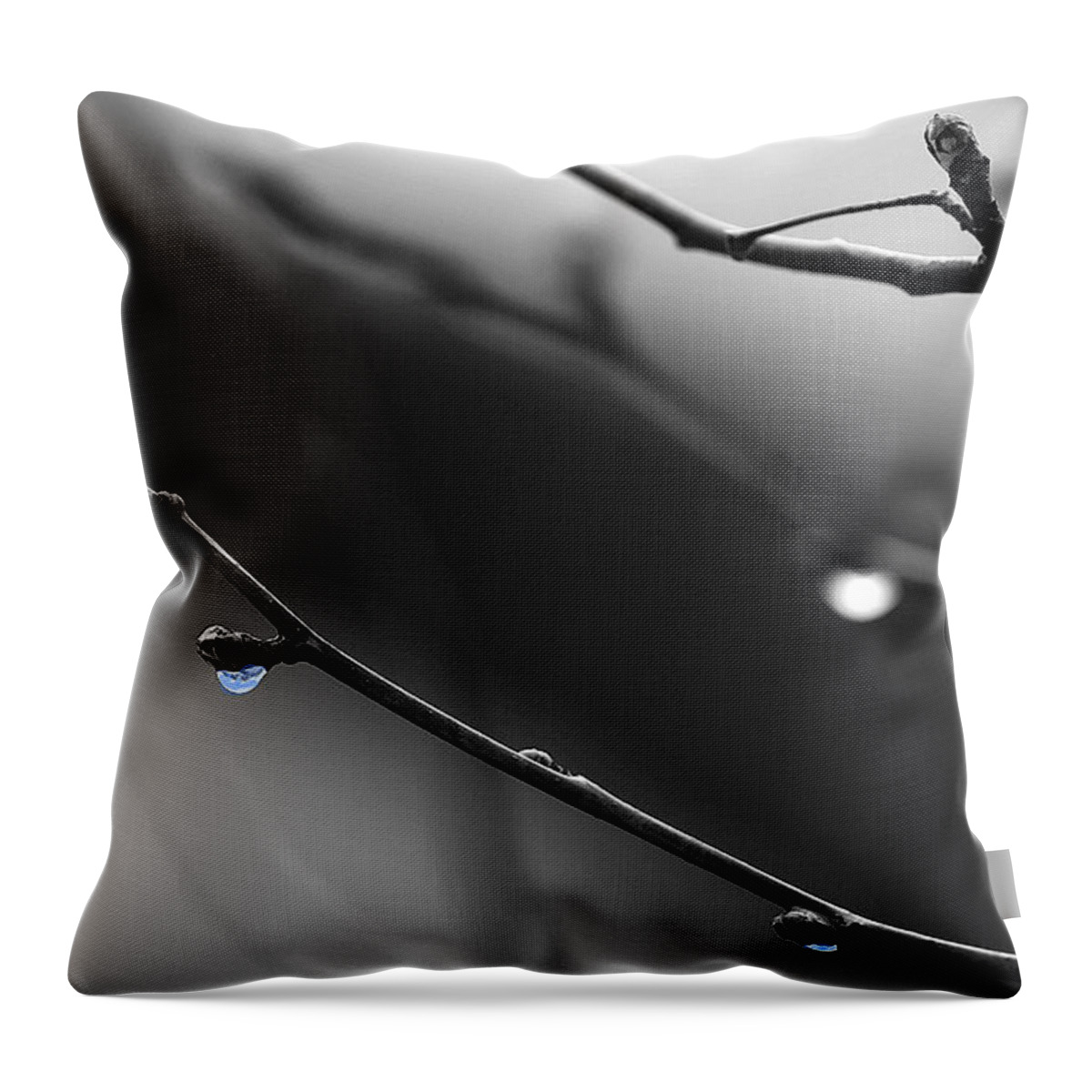 Rain Throw Pillow featuring the photograph Raindrops by Angela Rath