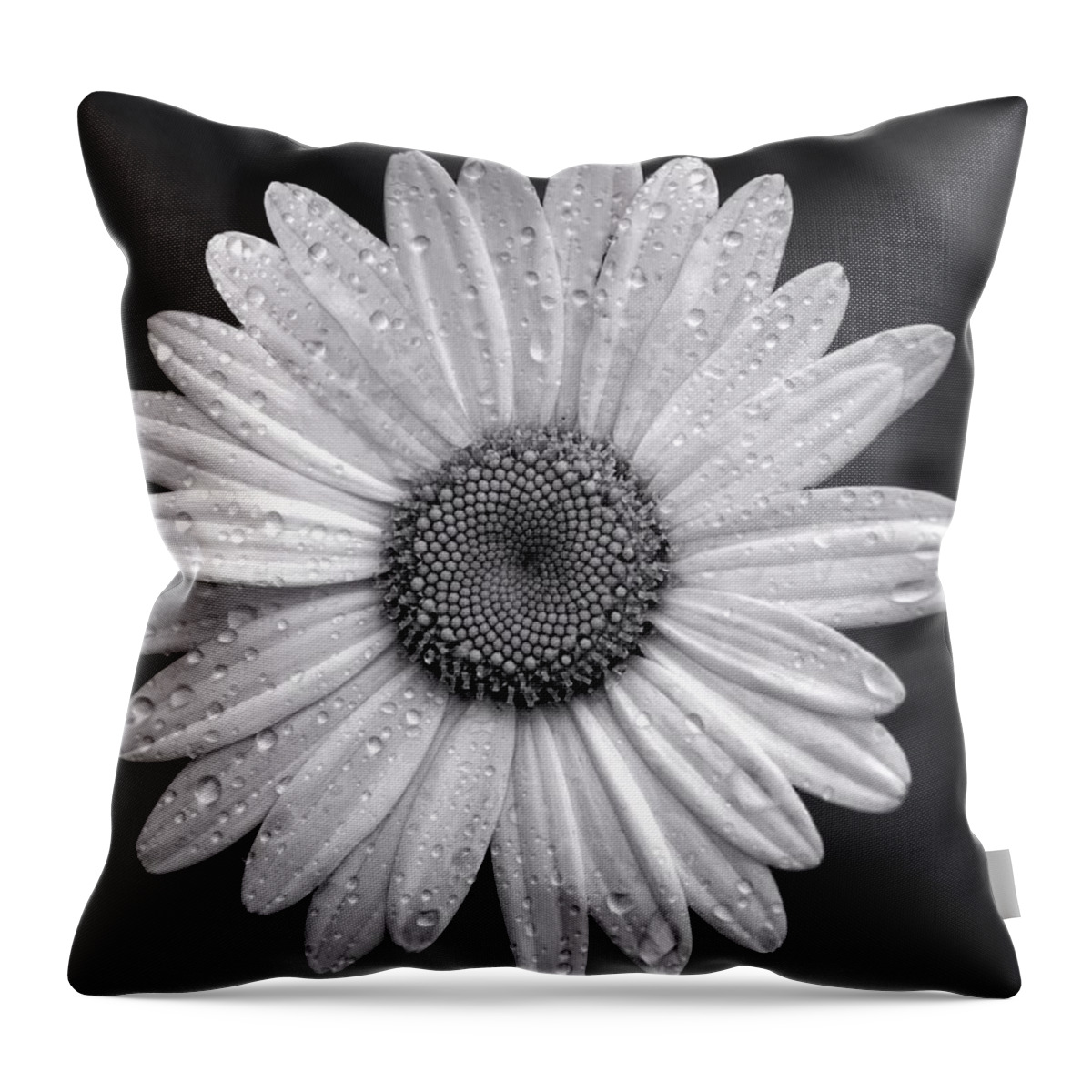 Raindrops Throw Pillow featuring the photograph Raindrops by Jackson Pearson