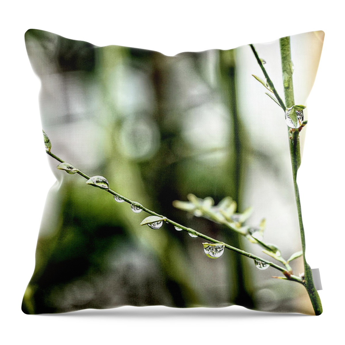 Rebecca Dru Throw Pillow featuring the photograph Raindrops on Branch in Green by Rebecca Dru