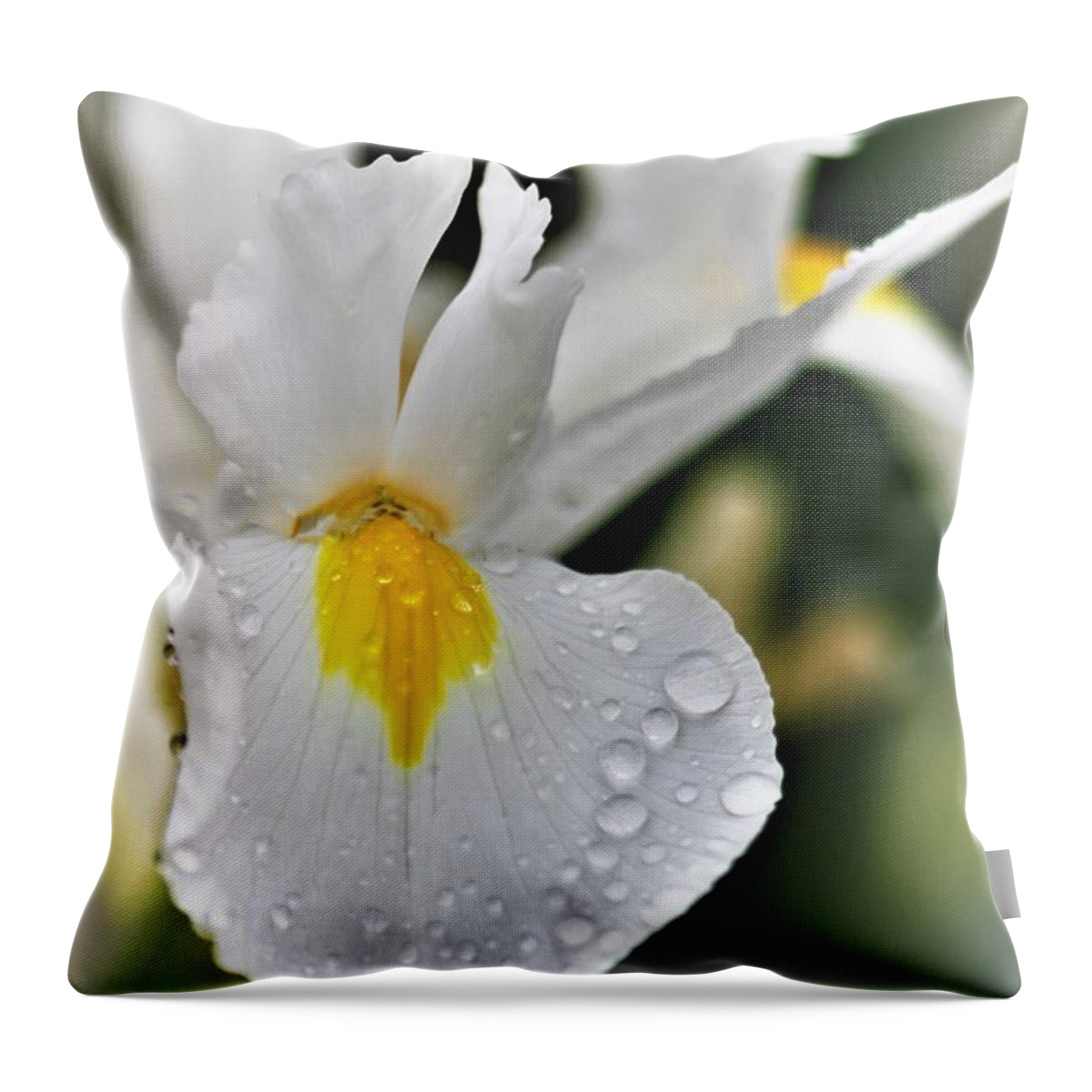 Photograph Throw Pillow featuring the photograph Raindrops On White Iris by Tracey Lee Cassin