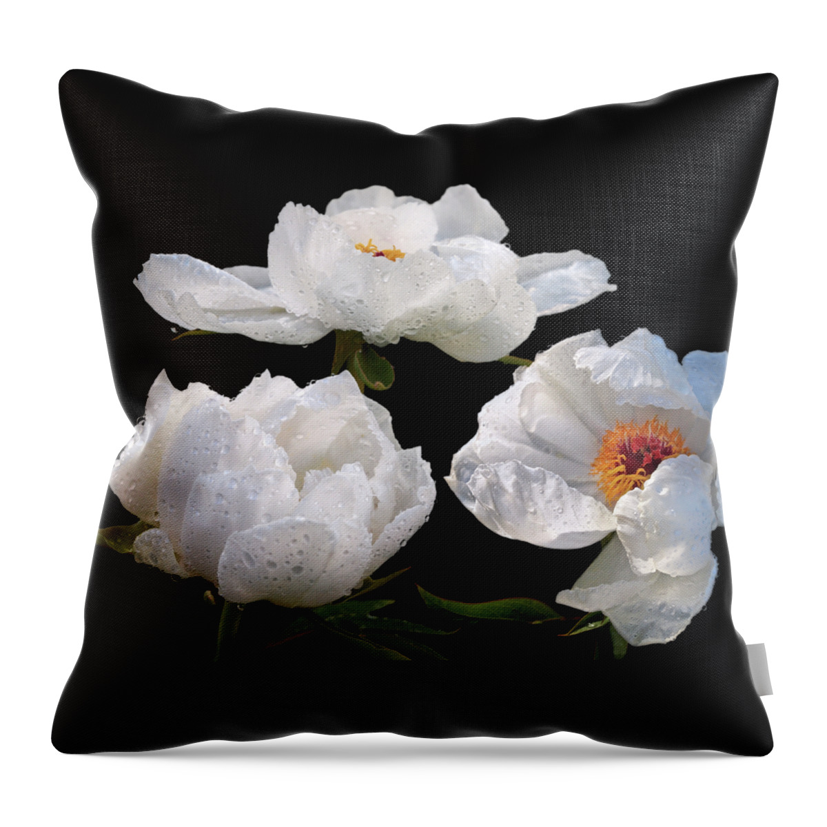 White Tree Peony Throw Pillow featuring the photograph Raindrops on White Tree Peonies by Gill Billington